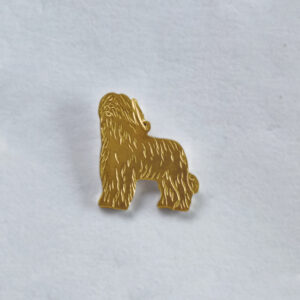 Briard