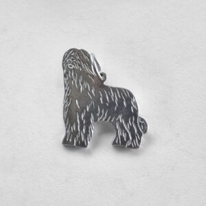 Briard