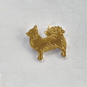 Chihuahua Langhåret