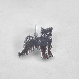 Chinese Crested Powder Puff