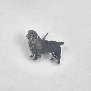 Clumber spaniel