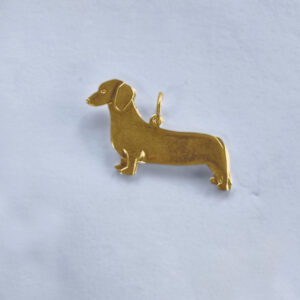 Dachshund glatthåret