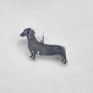 Dachshund glatthåret