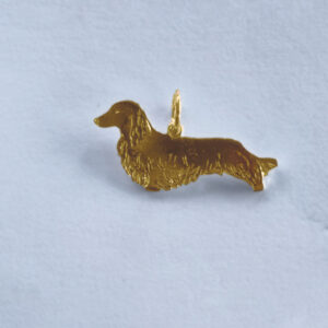 Dachshund langhåret
