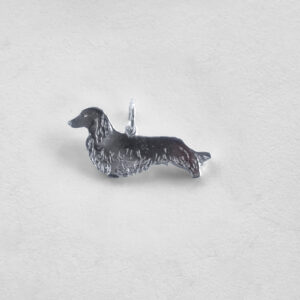 Dachshund langhåret