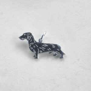 Dachshund strihåret