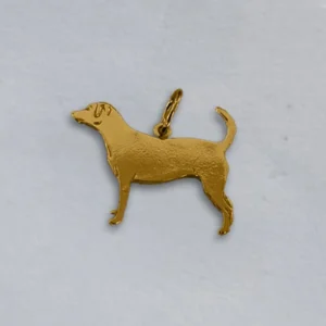 Dansk/svensk gårdshund