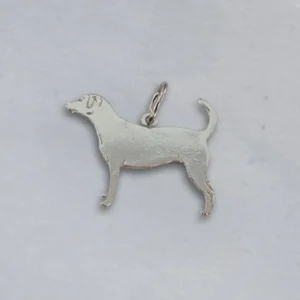 Dansk/svensk gårdshund