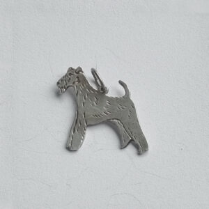 Fox terrier ruhåret