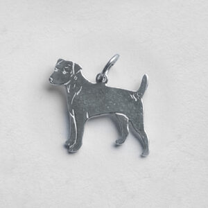 Parson russell terrier