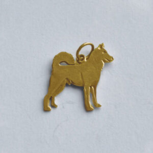 Canaanhund