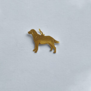 Labrador retriver
