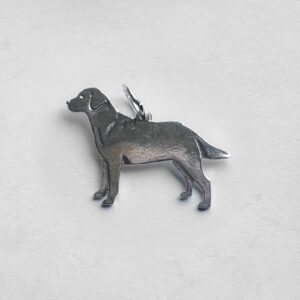 Labrador retriver