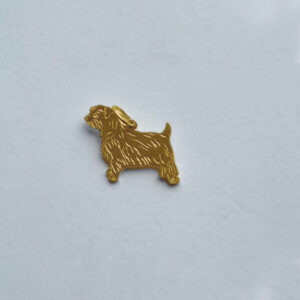 Norfolk terrier
