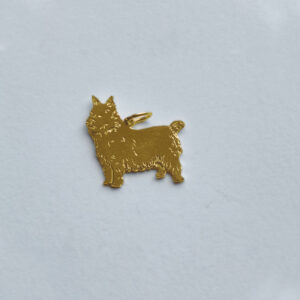 Norwich terrier