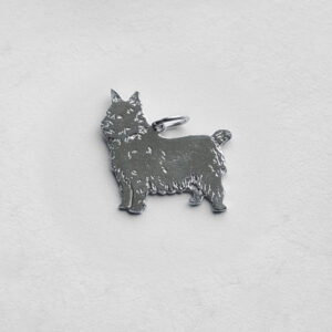 Norwich terrier