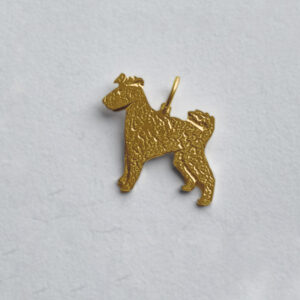 Pumi