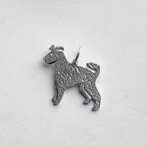 Pumi