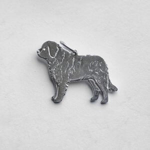 St.Bernhardshund/sankt bernhardshund