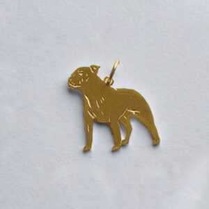 Staffordshire bull terrier