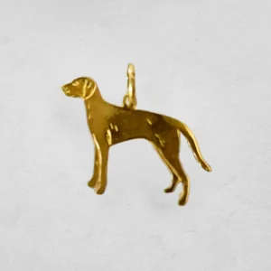 Vorstehund korthåret/glatthåret