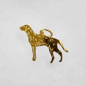Vorstehund strihåret