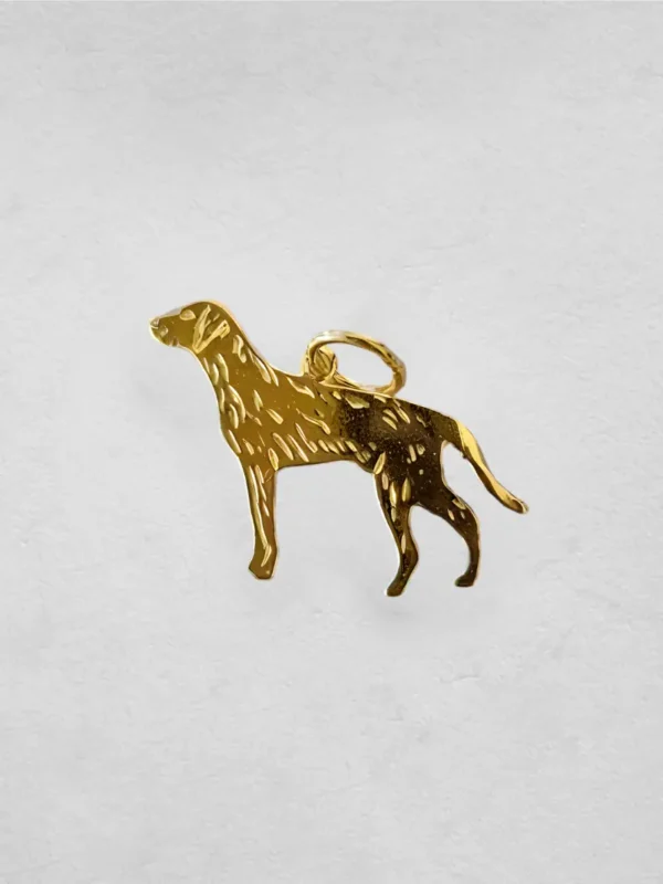 Vorstehund strihåret