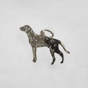 Vorstehund strihåret
