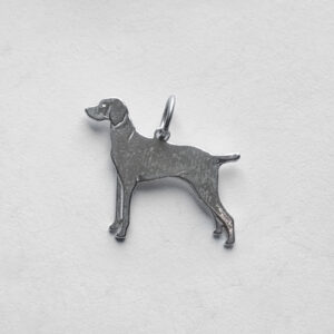 Weimaraner