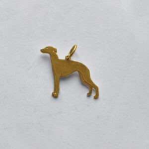 Whippet