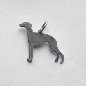 Whippet